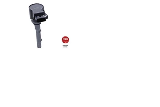 Ritė, uždegimas NGK 48337