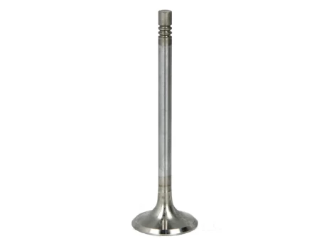 FRECCIA 6719/RCR Exhaust valve