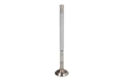FRECCIA 6304/SCR Inlet valve
