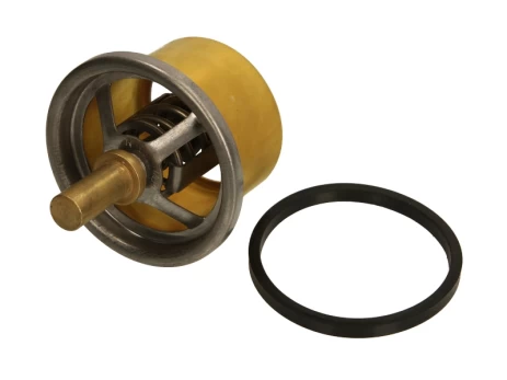 termostatas, aušinimo skystis THERMOTEC D2DA004TT