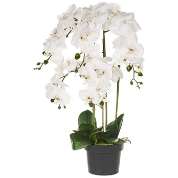 Beliani Dirbtinis augalas ORCHID 65 cm baltas