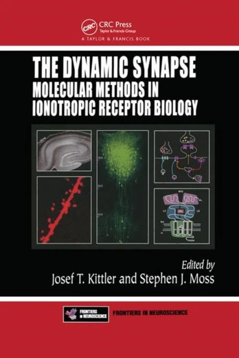 Dynamic Synapse