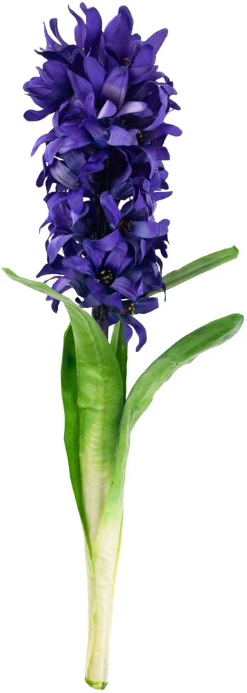 Dirbtinė gėlė, hiacintas, žalia/violetinė, 37 cm
