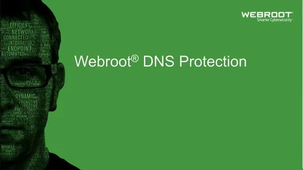 Webroot | DNS Protection with GSM Console | 2 year(s) | License quantity 10-99 user(s)