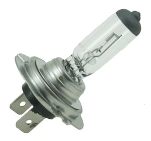 Automobilio lemputė Bottari, Halogeninė, 12 V