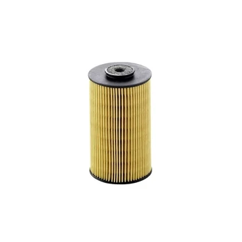 Kuro filtro elementas P 811