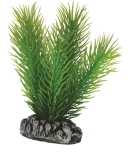 Usorteret Dohse Mayaca, 7 cm