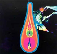 CD Björk - Voltaïc