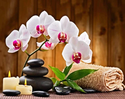 Deimantinis paveikslas Aromatherapy WD039 48*38 cm