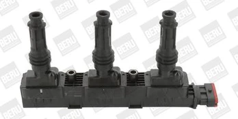 Ritė, uždegimas BorgWarner (BERU) ZS358