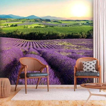 Artgeist Fototapetas - Lavender Field