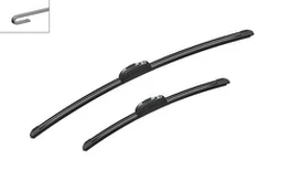 Valytuvai BOSCH 3397118907