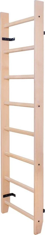 BenchK 110 gimnastikos kopėčios