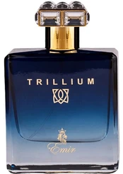 Paris Corner Trillium - EDP kaina