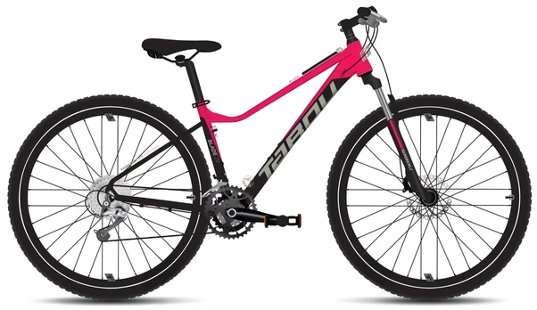 Dviratis Tabou Blade 29 1 W juodas-red-L (Dydis: L)
