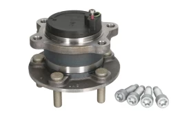 FAG 713 6605 50 Wheel bearing  kit kaina