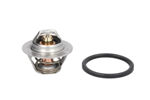 termostatas, aušinimo skystis CALORSTAT BY VERNET TH6047.75J