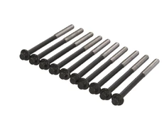 REINZ 14-10174-01 Cylinder head bolt set kaina