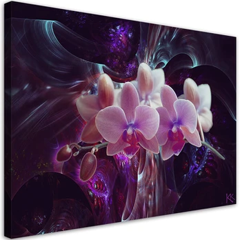 Paveikslas Balta orchidėja tamsiame fone