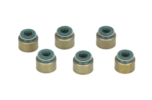 REINZ 12-52939-02 Valve stem seal set