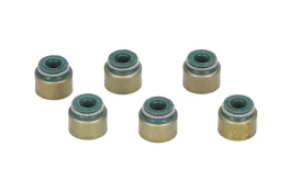 REINZ 12-52939-02 Valve stem seal set kaina
