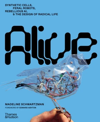 KNYGA Madeline Schwartzman Gyvas