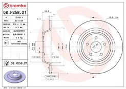 BREMBO 08.N258.21 Brake Disc kaina