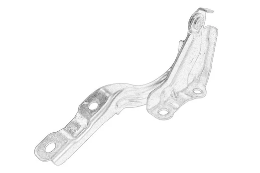 Variklio gaubto vyris 79120G3000