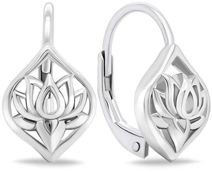 Brilio Silver Beautiful sidabrinis dangle earrings EA700W