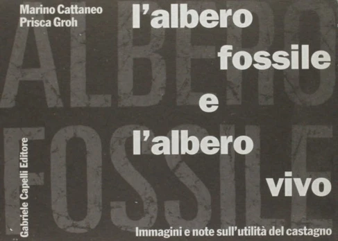 Albero Fossile E L'Albero Vivo