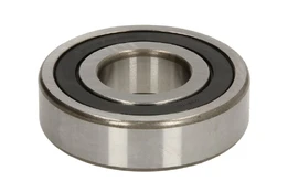 guolis FAG 6306-2RS /FAG/ kaina