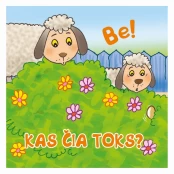 KNYGA Be ! Kas čia toks? kaina