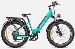 Dviratis 26 elektrinis Engwe E26 ST moteriškas 750Wh žalias kaina