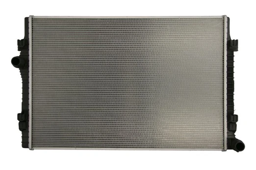 Variklio radiatorius DENSO DRM32049
