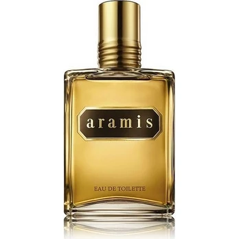 Tualetinis vanduo Aramis for Men EDT vyrams 110 ml