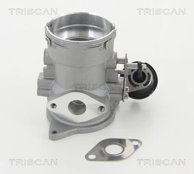 ERG vožtuvas TRISCAN 8813 29056