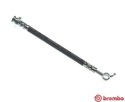Stabdžių žarnelė BREMBO T 56 164