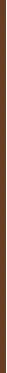 Essence Liquid bronzer Vanduo Dew Serum Bronzer 3.5 ml