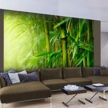Artgeist Fototapetas - jungle - bamboo 300x231