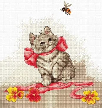 Kitten SB2228