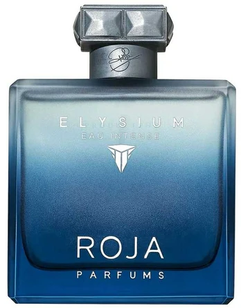Roja, Elysium Intense, Parfum, For Men, 100 ml