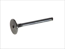 FRECCIA 4193/SCR Inlet valve kaina