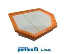 Oro filtras PURFLUX A3046 kaina