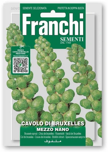 Briuselio kopūstai MEZZO NANO