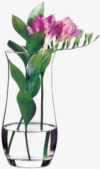Wazon Botanica 21 cm PASABAHCE