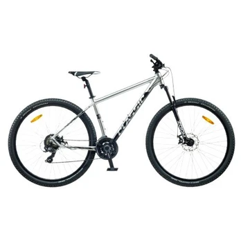 Kalnų dviratis Classic Pro 29", pilkas, L