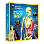 National Geographic Human Body Science Kit kaina