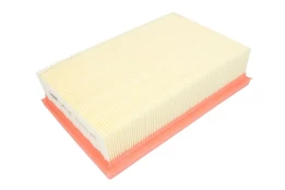 Oro filtras MANN-FILTER C25021 kaina