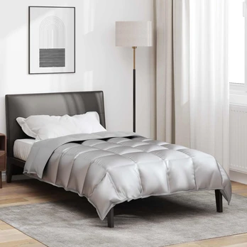 Žiemos antklodė Sidabro 200 x 135 cm Satin ir mikropluoštas