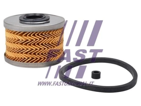 Kuro filtras FAST FT39070